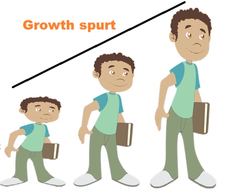 A growth spurt is a period of rapid growth that occurs during adolescence.