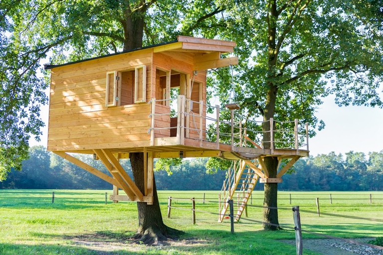 Building a treehouse can be a fun and rewarding experience, but there are a few things you should know before getting started.