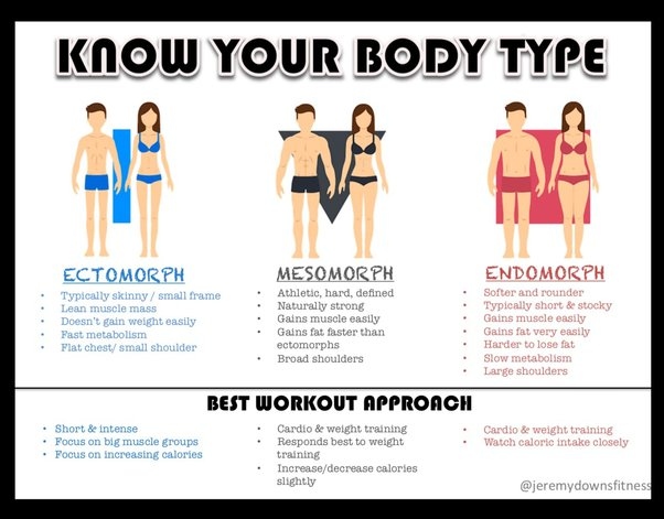 Each body type has different characteristics and responds differently to exercise and diet. There are three main body types - endomorphs, mesomorphs, and ectomorphs.