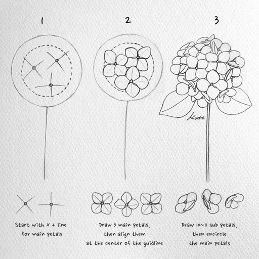 If you want to get better at drawing flowers, start with simple tutorials that will teach you the basics of how to draw a flower.