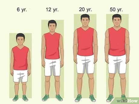 If you want to get taller as a teenager, you need to exercise.