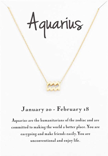 If you're looking for a unique and beautiful gift for an Aquarius girl in your life, look no further than this 14K white gold plated necklace.