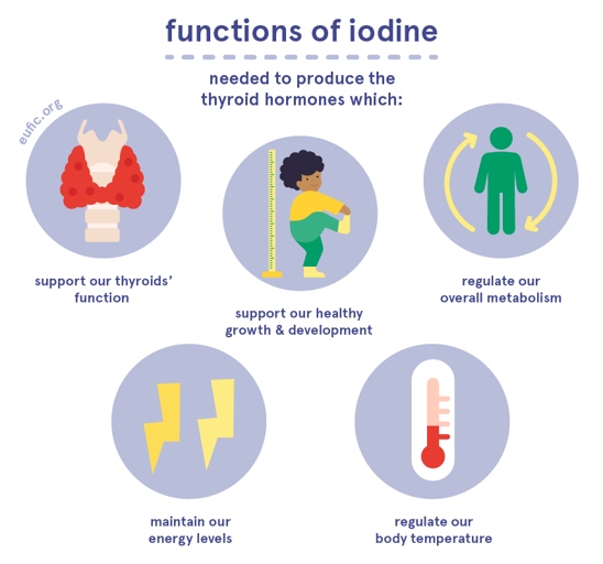 Iodine is important for the proper development of the brain and nervous system.