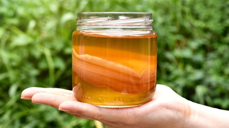 Kombucha is a fermented tea that has many health benefits, and it is non-alcoholic, so kids can drink it.