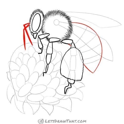 Next, draw a pair of wings on each side of the body. Finally, add some details, such as antennae, eyes, and a mouth. Then, draw two slightly larger ovals on either side of the first oval. To draw a simple butterfly, start by drawing a small oval in the center of the page.
