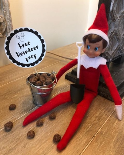Reindeer poop makes the perfect Elf on the Shelf accessory.