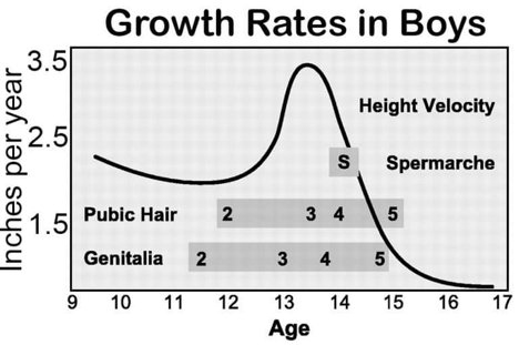 The average teenage boy will grow about four inches taller during a growth spurt.