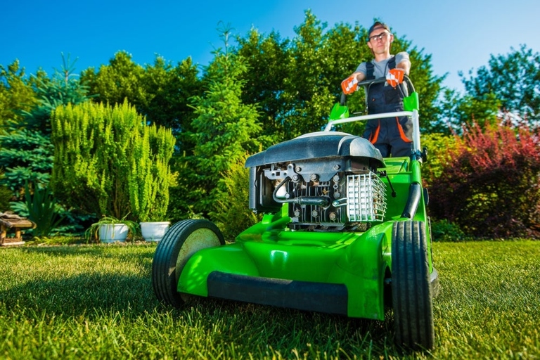 There are many factors to consider when deciding how much to pay a teenager for yardwork.
