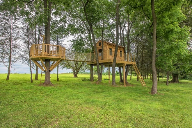 There are plenty of treehouse bridge ideas out there to fit any age group.