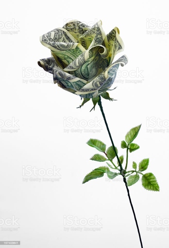 This rose is made out of money!