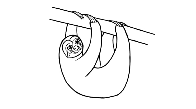 This section will provide tips on how to draw a sloth.
