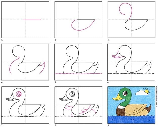 This section will teach you how to do a simple duck drawing.