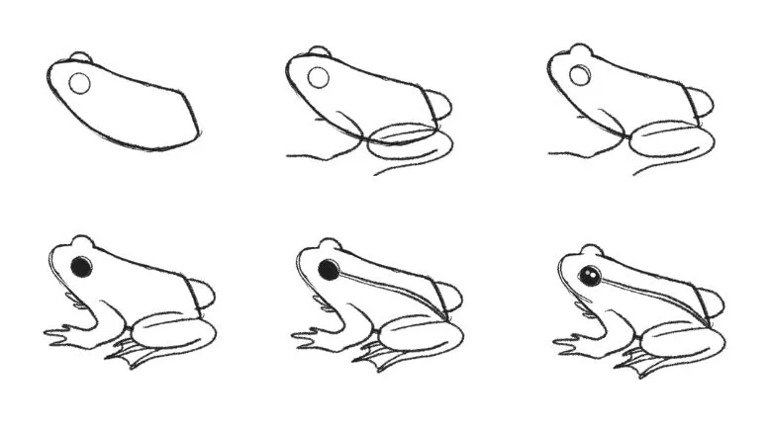 This section will teach you how to draw a frog in just a few easy steps.