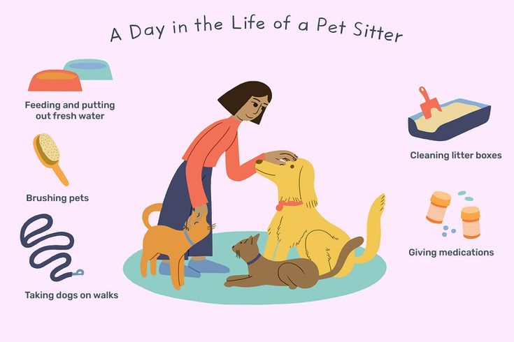 When choosing a dog sitter, it is important to consider the person's age, experience, and ability to handle your dog.