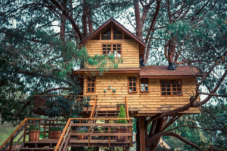 Whether you're looking to build a treehouse for your kids, yourself, or as a fun weekend project, these simple treehouse ideas are a great place to start.