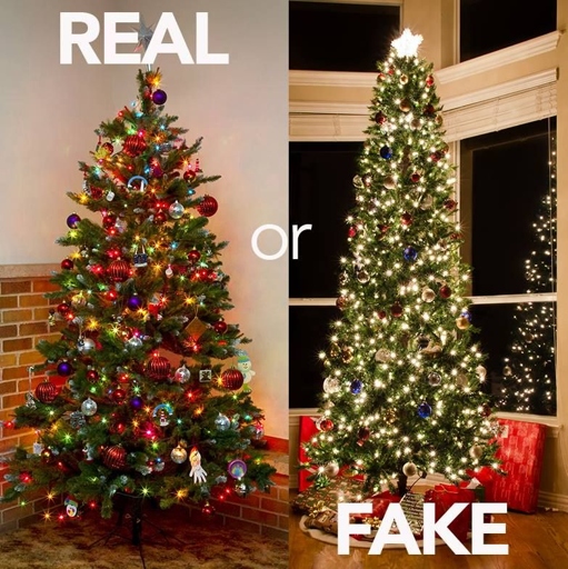 Would you rather have a real or artificial Christmas tree?